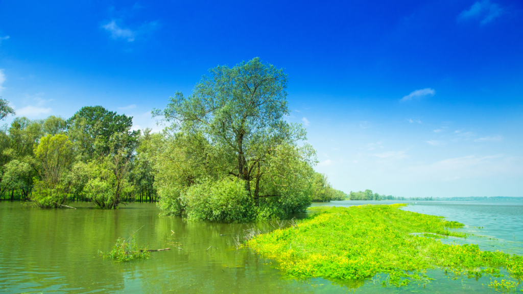 Lonjsko Polje Nature Park in Central Croatia