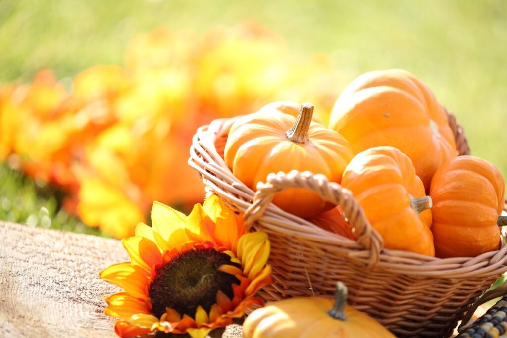 Capture the essence of fall with pumpkins and sunflowers.