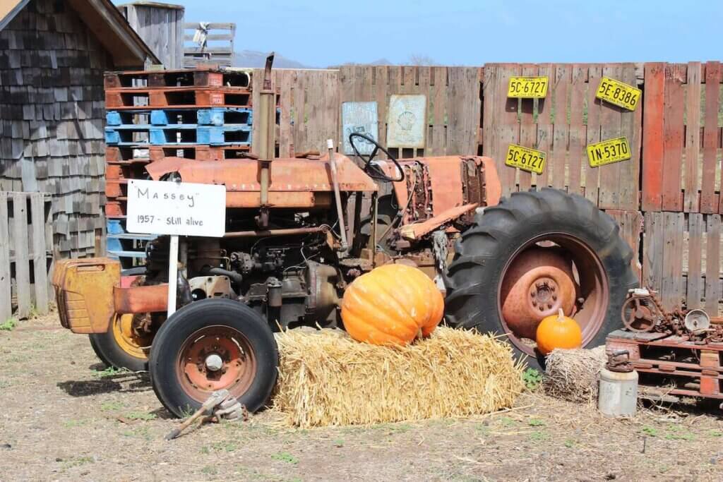 Top recommendations for pumpkin patches on Oahu by Hawaii Travel with Kids. Image depicts a tractor at the Waimanalo pumpkin patch.