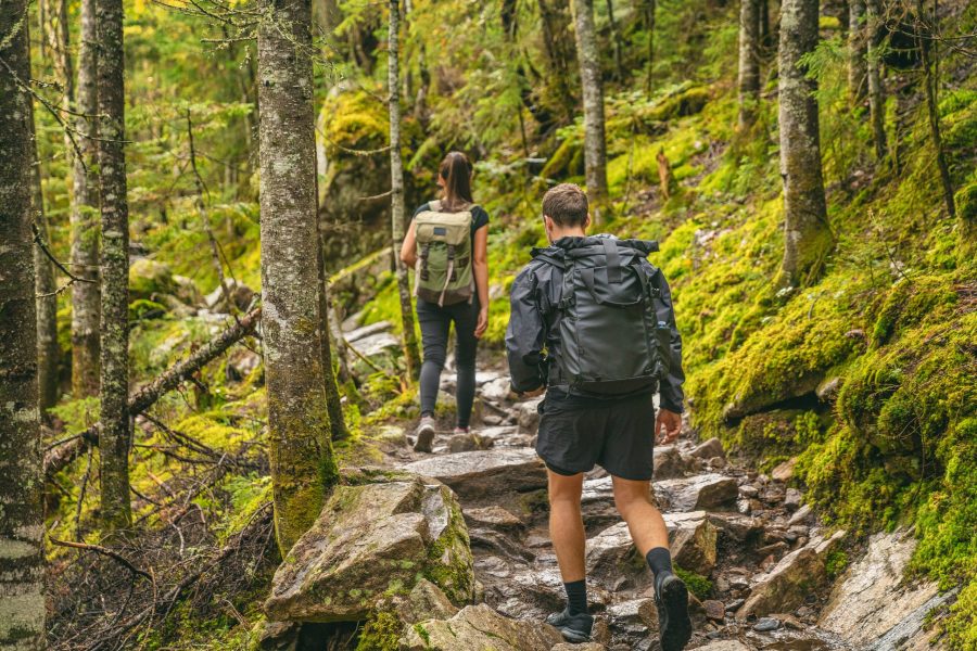 Hiking in Maine - A Fun Activity in Camden