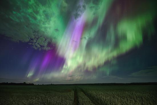 The Brightest Northern Lights in Arkhangelsk Oblast, Russia, August 12-13, 2024, photo 8