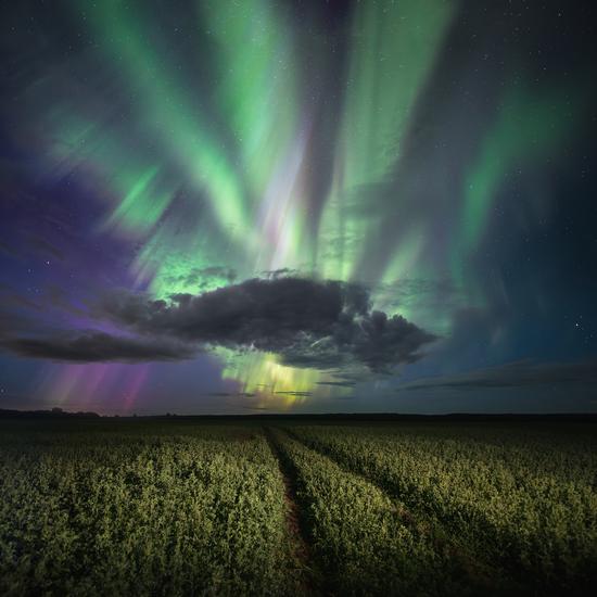 The Brightest Northern Lights in Arkhangelsk Oblast, Russia, August 12-13, 2024, photo 7