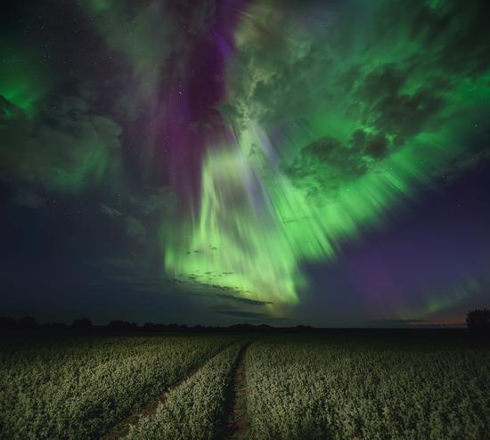 The Brightest Northern Lights in Arkhangelsk Oblast, Russia, August 12-13, 2024, photo 5