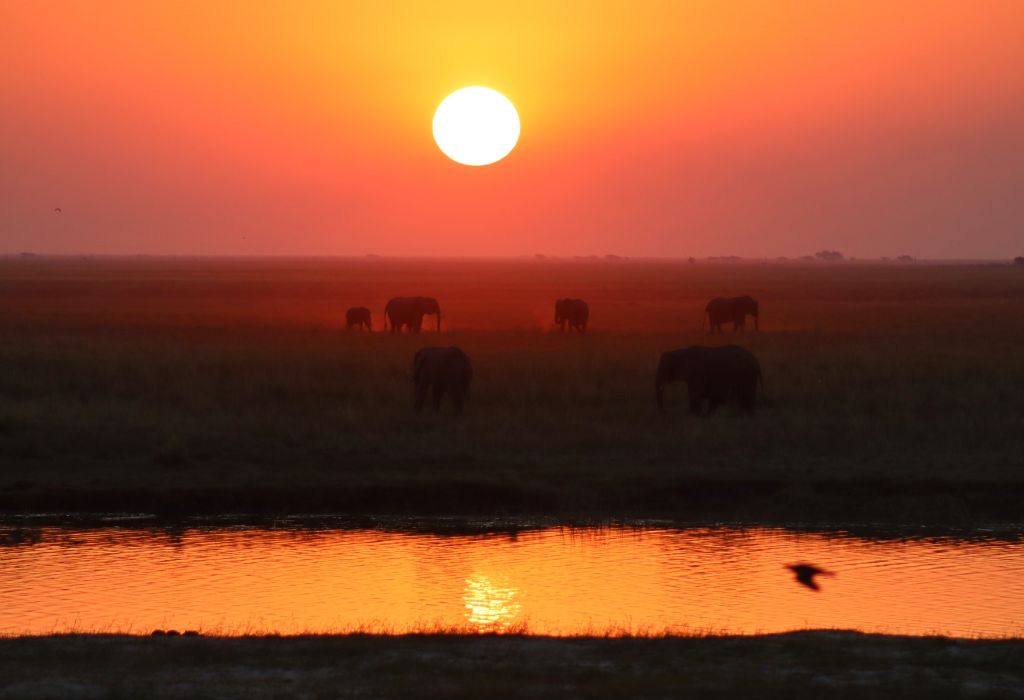 Sunset Over Chobe National Park