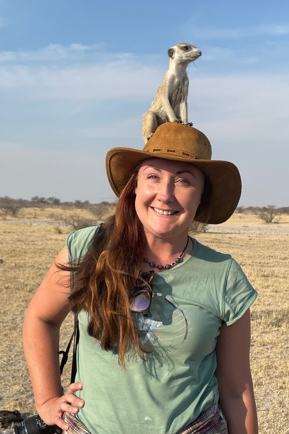 Seeing meerkats in Botswana