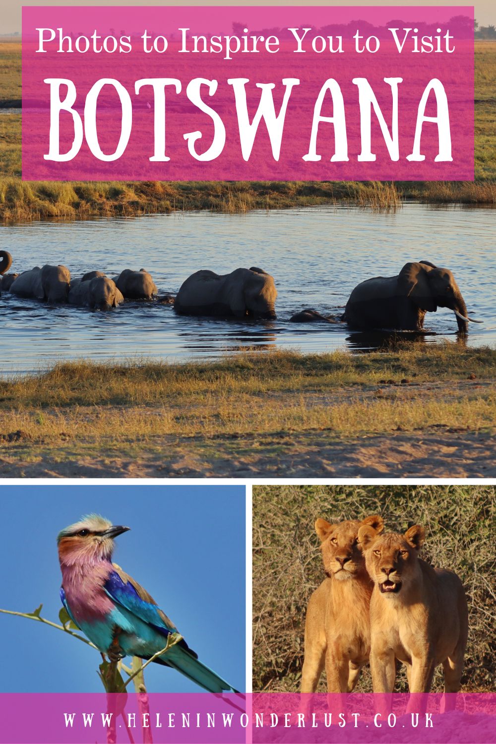 Photos to Inspire You to Visit Botswana