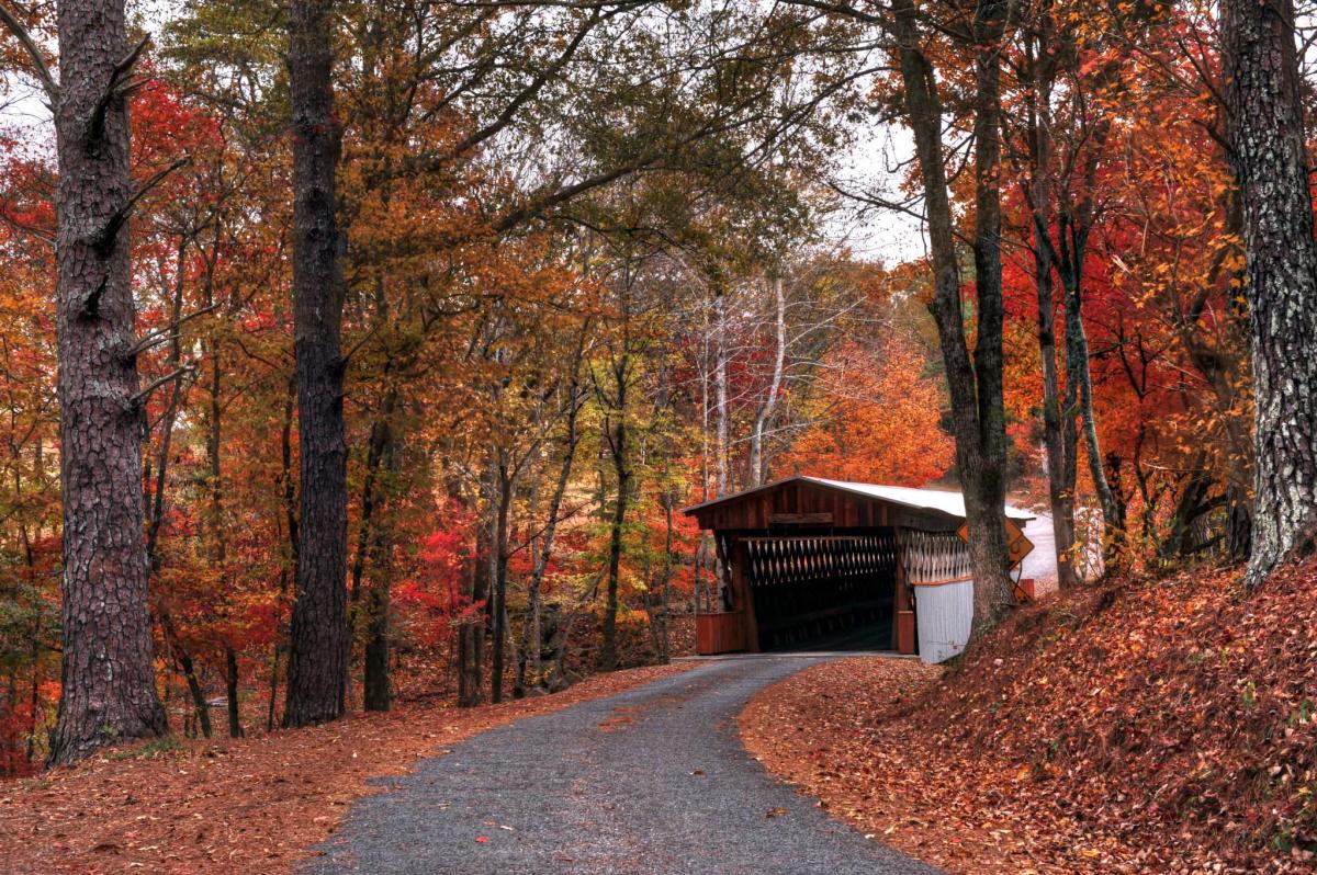 Covered Bridge Easley