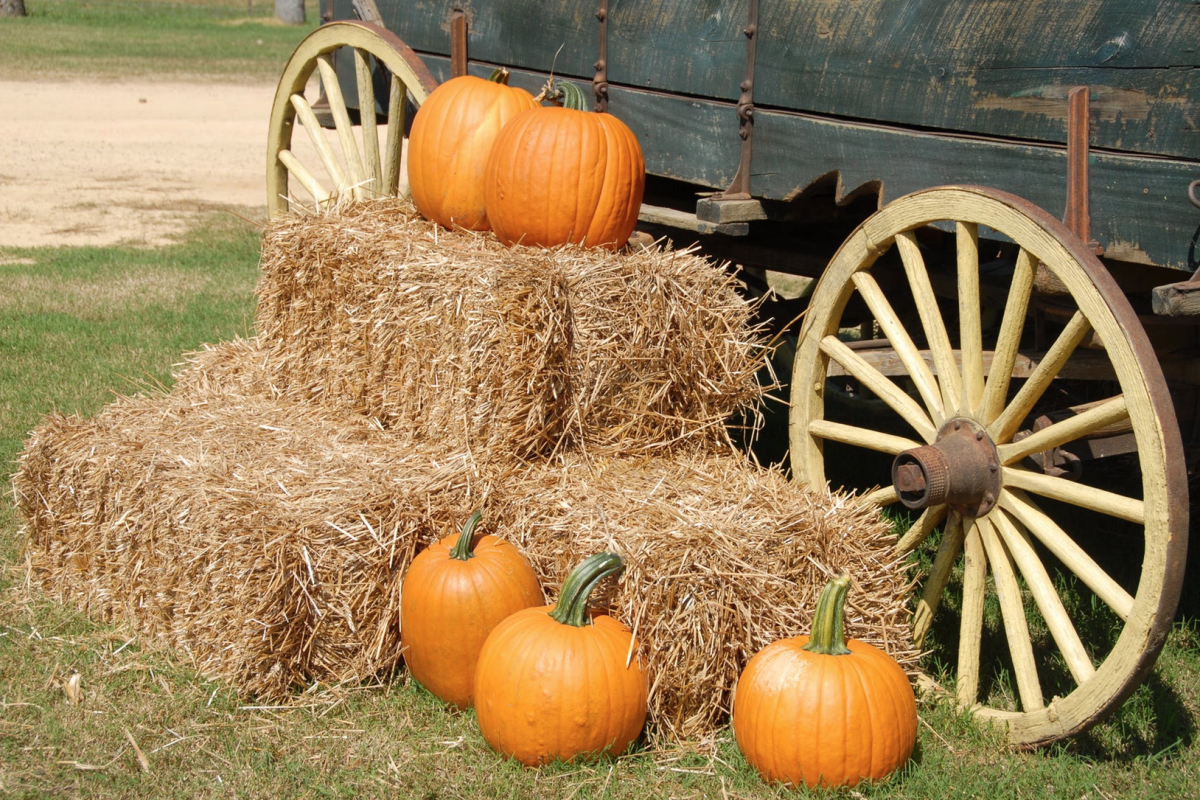 lagrange hayride