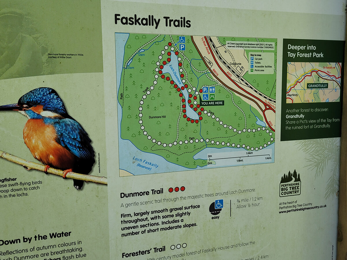 Close-up of the trails map for Faskally Woods showing the Dunmore Trail