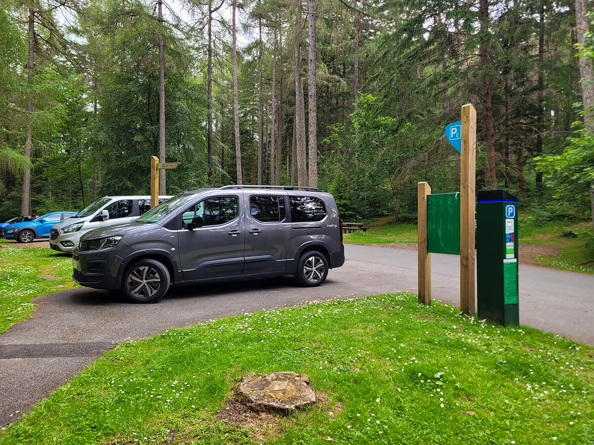 A grey wheelchair accessible vehicle parked in the car park of Faskally Woods, surrounded by majestic pine trees.