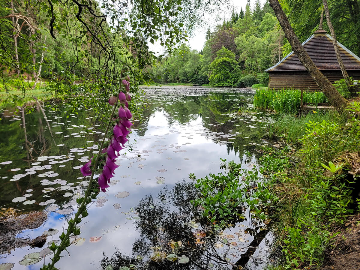 Boat house at Loch Dunmore in Faskally Woods