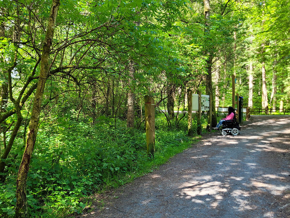 Emma in her powered wheelchair, looking at the trail map in Faskally Woods.