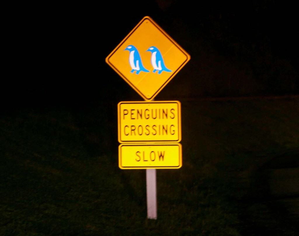 Road sign illuminated at night that reads 'Penguins Crossing'