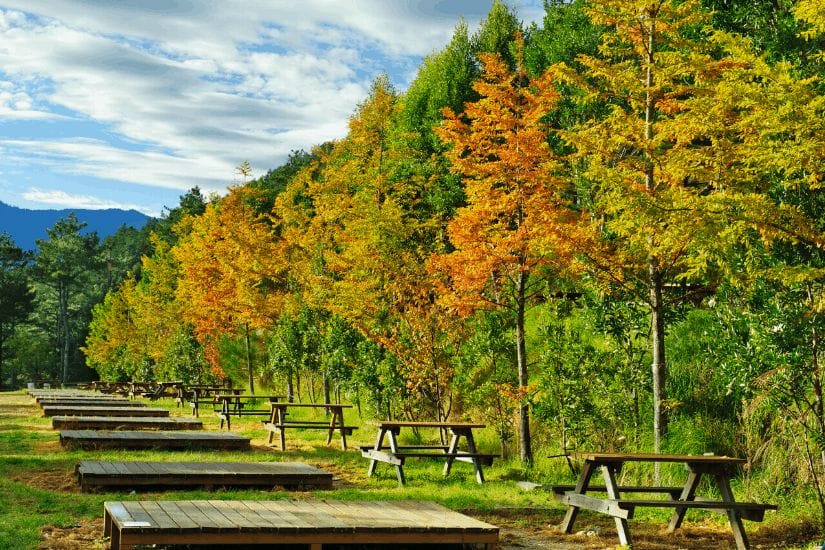 Wuling Farm, one of the best places to see fall colors in autumn in Taiwan