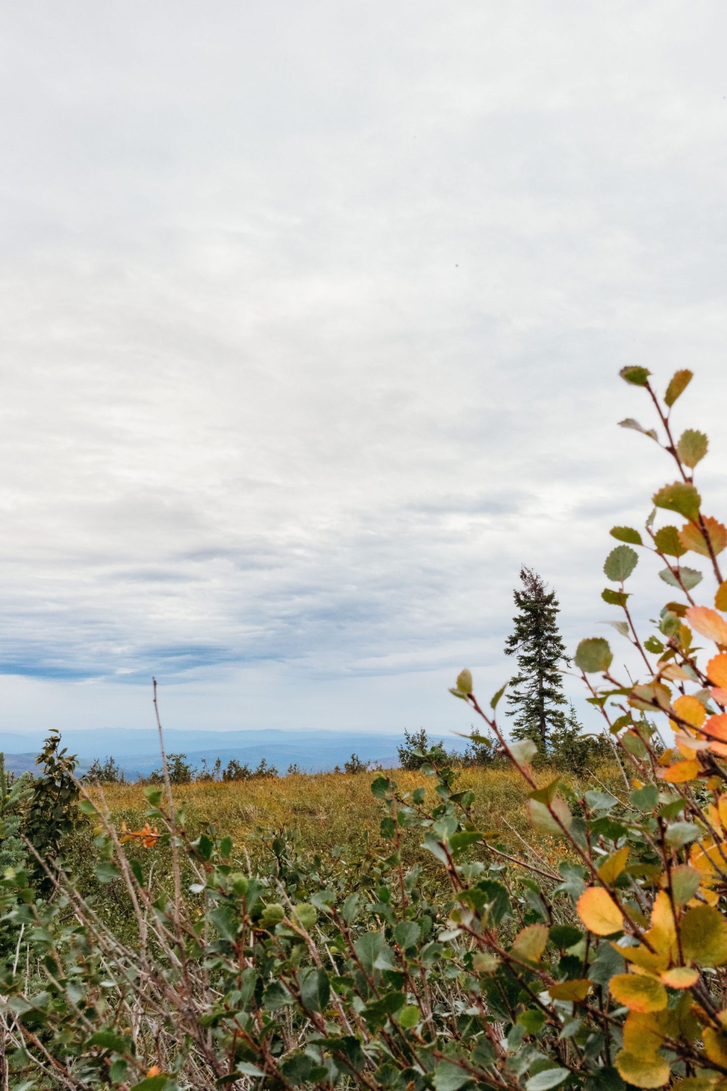 October in Alaska