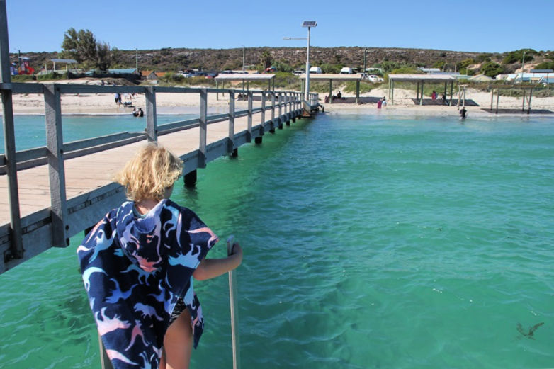 Horrocks Beach 