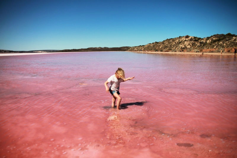 Pink Lake Western Australia 