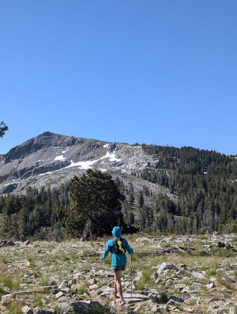 A woman hiking towards Ralston Peak, near the PCT in California on a sunny day. The rocky mountain is bordered by a pine forest at the base.