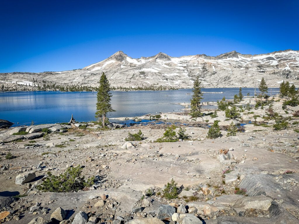 Lake Aloha in California featuring granite shores, scattered pine trees, and distant snow-capped peaks.