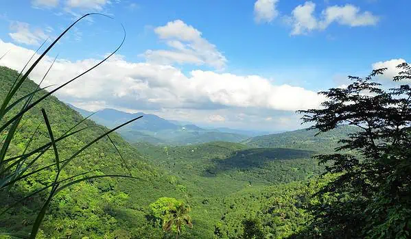 Kanthalloor Forest