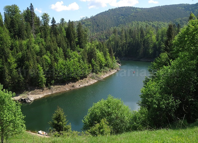 Drăgan Lake Alunu