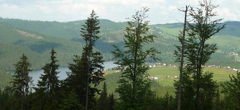 Road to Beliș-Fântânele Lake from Giurcuța