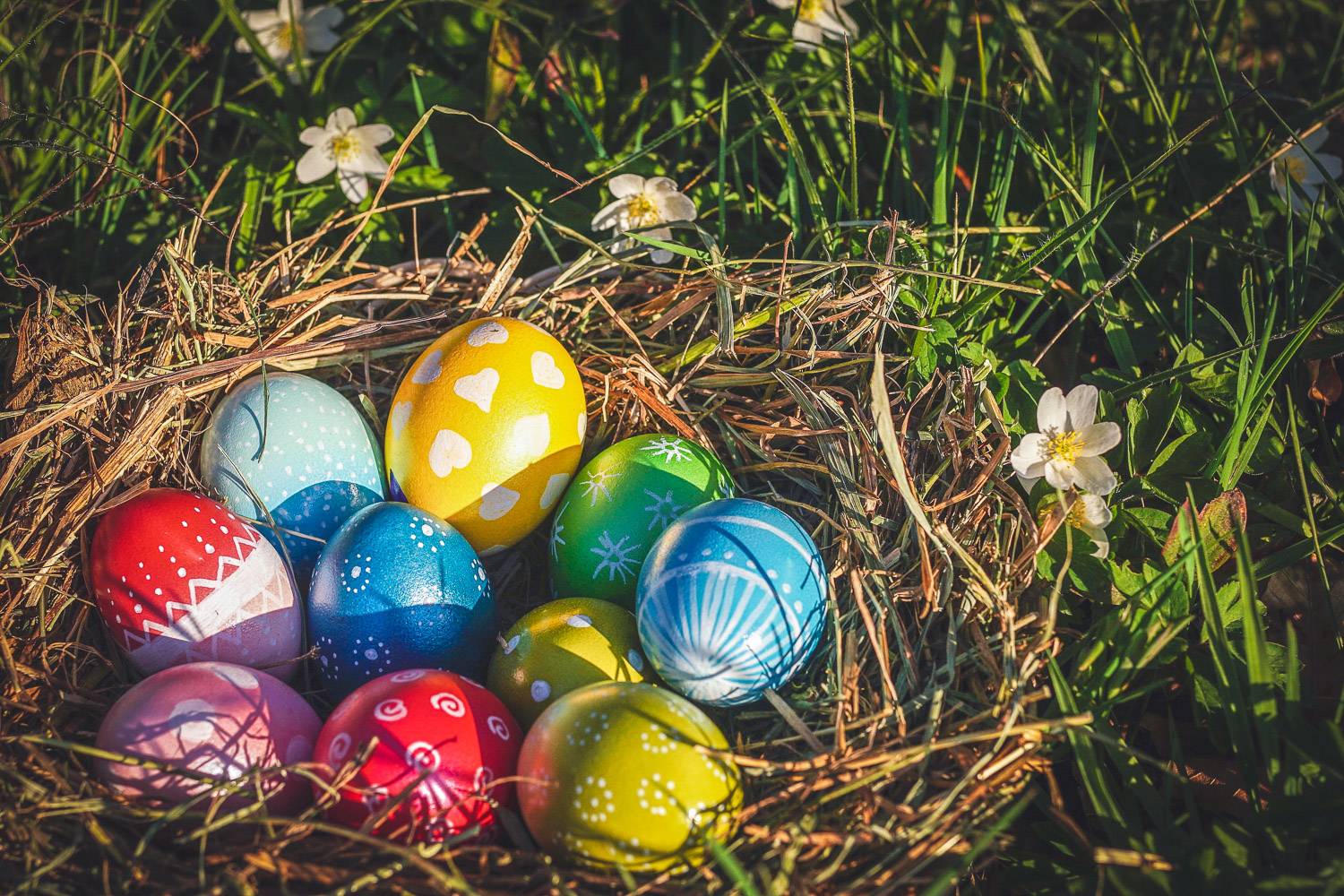 A nest filled with chocolate Easter eggs resting on the grass.