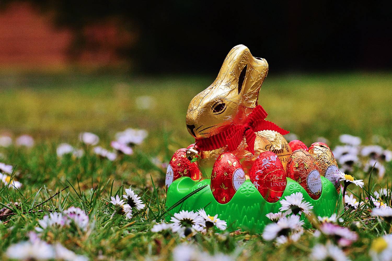 A Lindt chocolate bunny surrounded by chocolate eggs on a patch of grass.