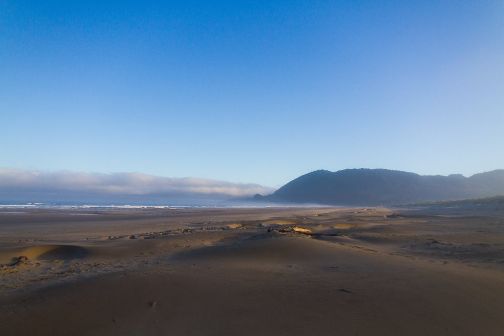 Nehalem Bay