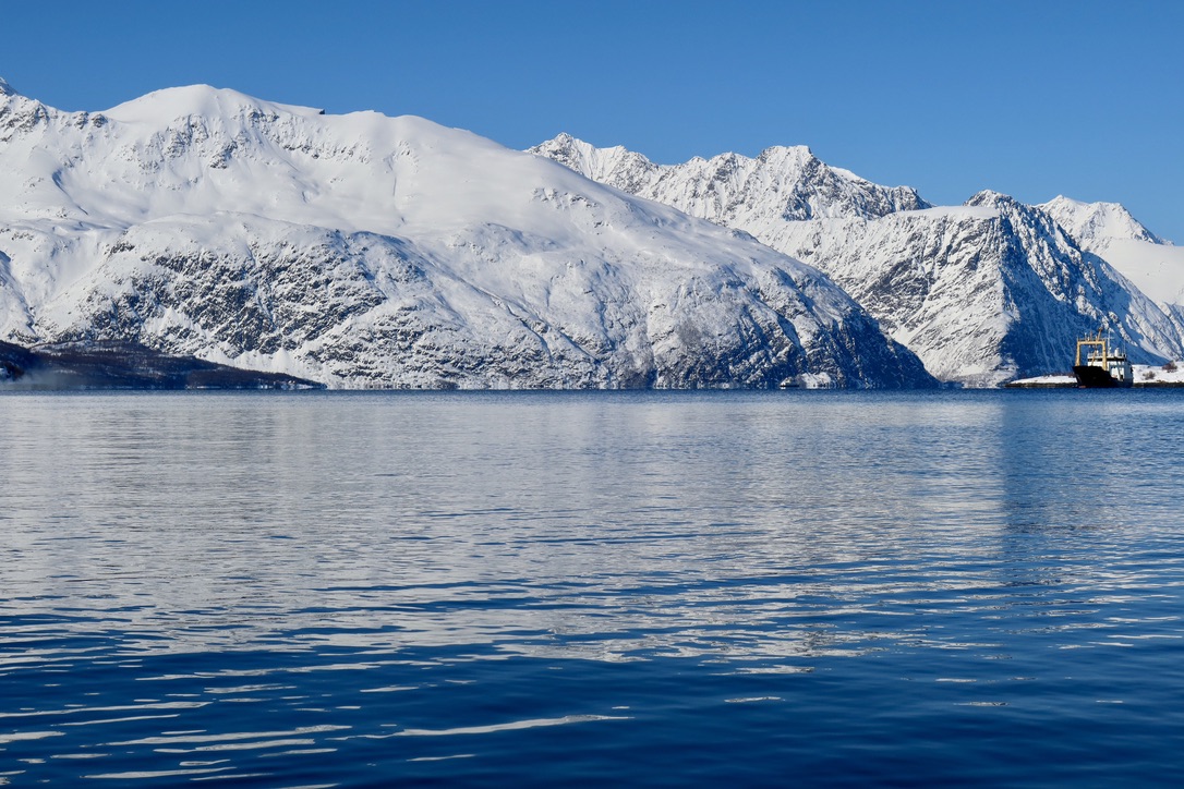 The Small Arctic Cruise in Norway by the Lyngen Alps and the Whales