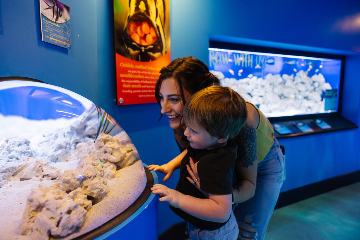 Mississippi Aquarium Changing Tides