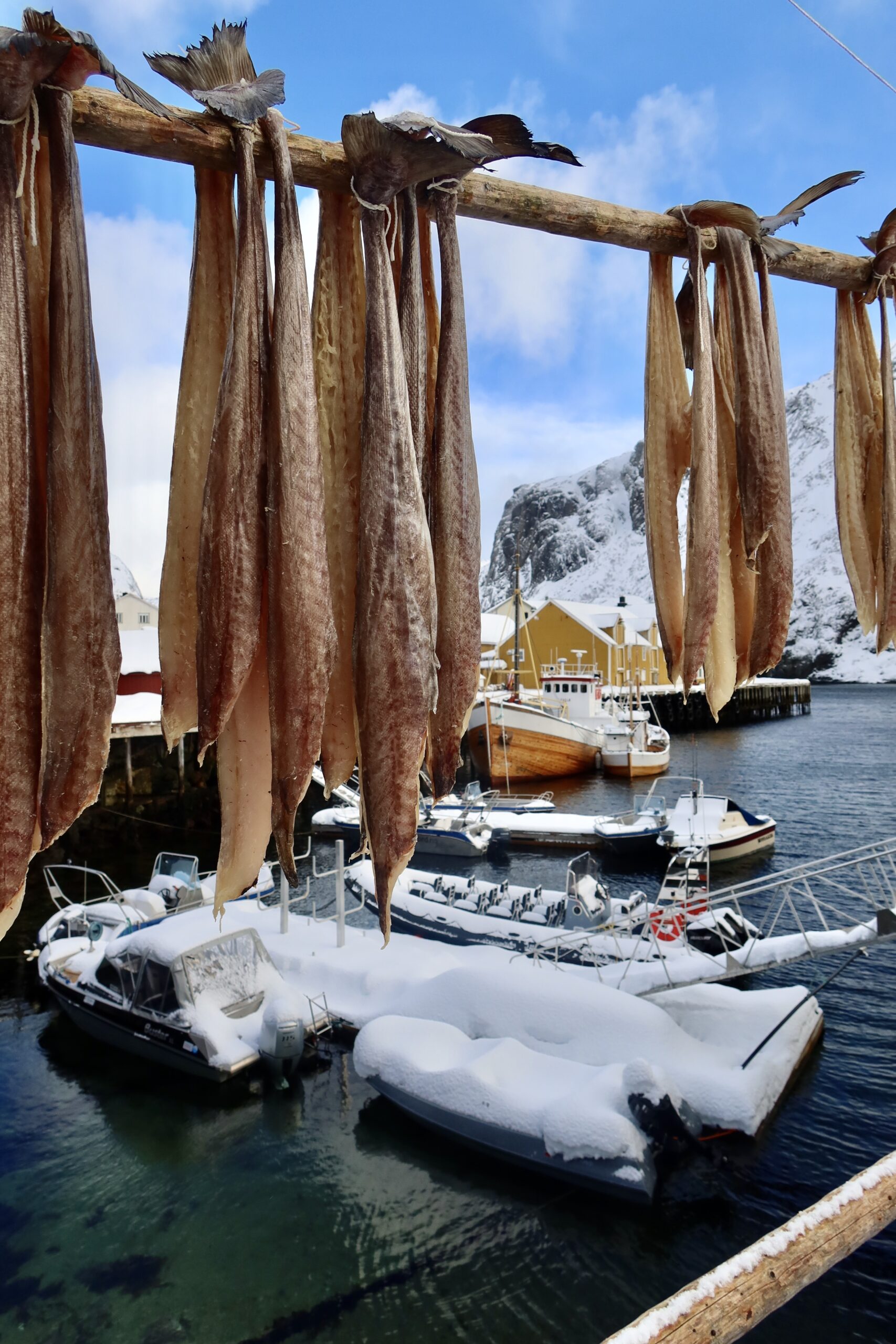 Lofoten in April with Nusfjord & Skrei 