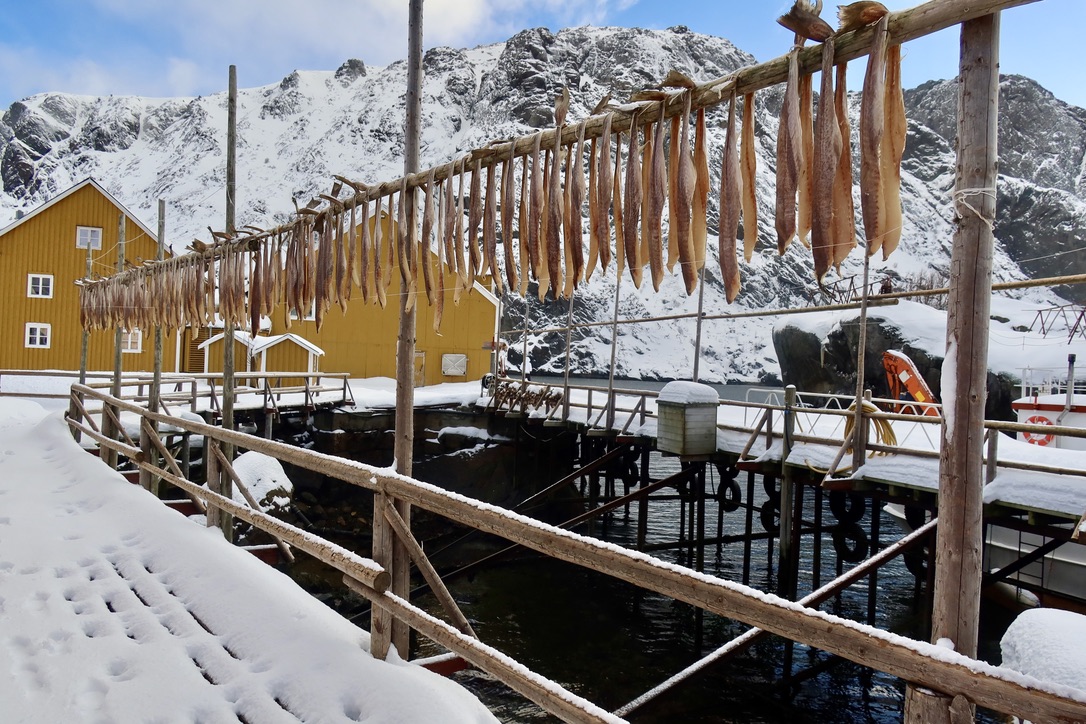 Lofoten in April with Nusfjord