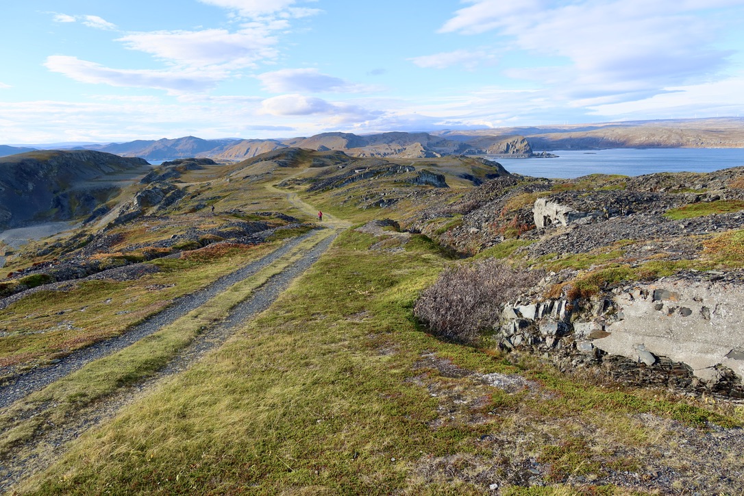 Nature surrounding Kongsfjord