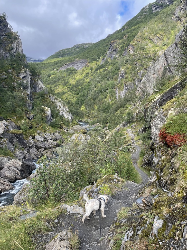 Another hiking perspective in Aurland