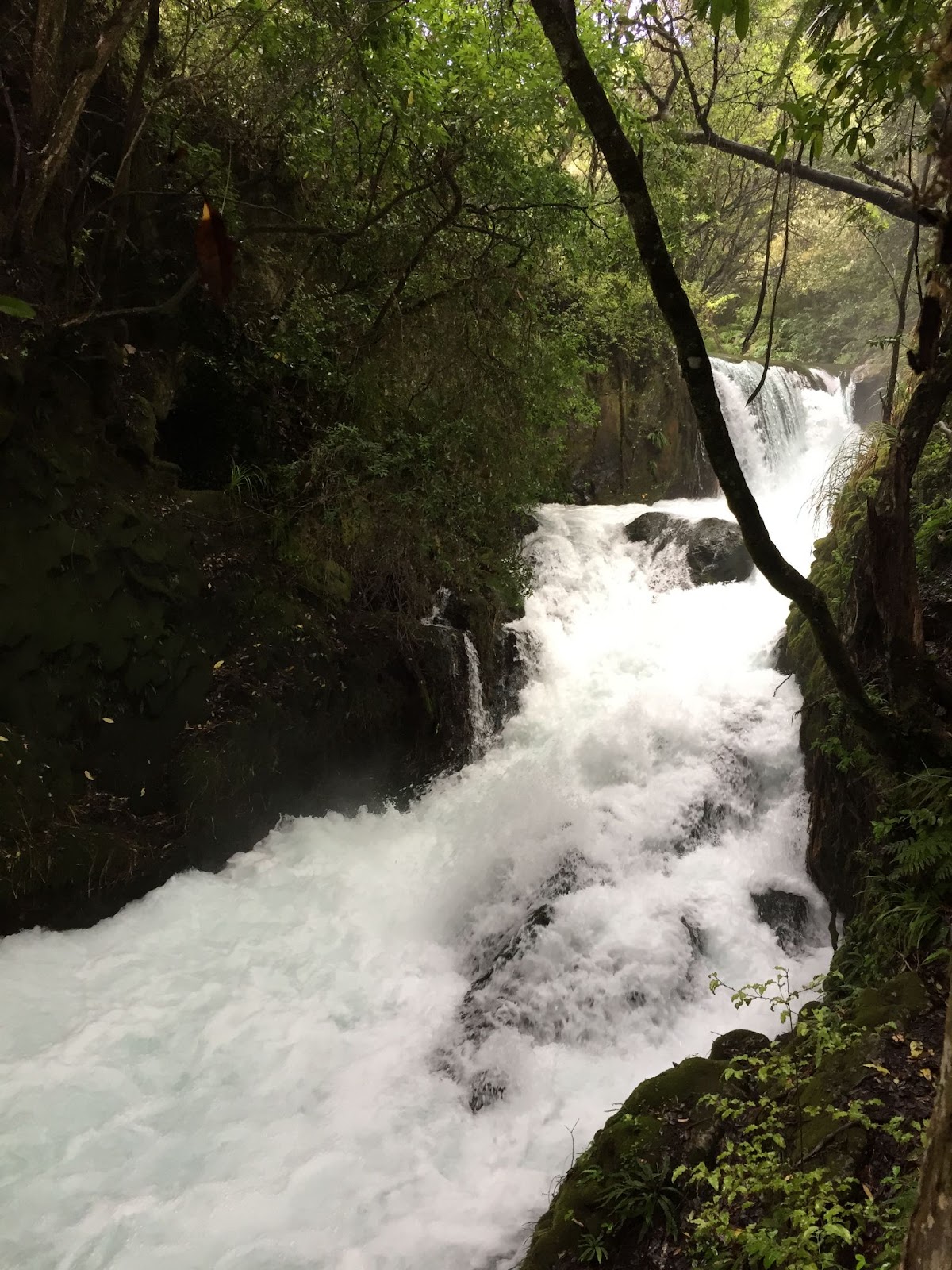 Tarawera River feeding the Tarawera Falls