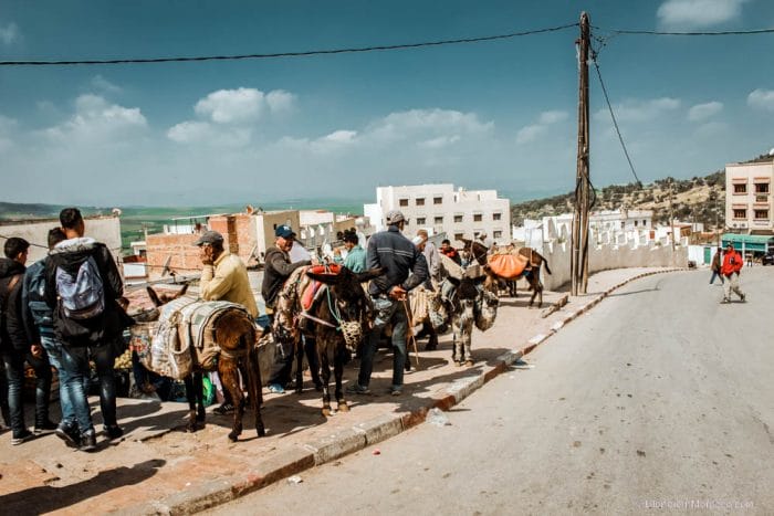 Moulay Idriss donkeys morocco people