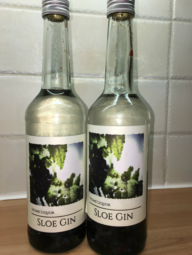 Homemade sloe gin: Pumpkin Picking in Kent