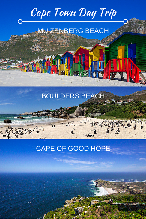 road trip from Cape Town to Muizenberg Beach, Boulders Beach, and the Cape of Good Hope