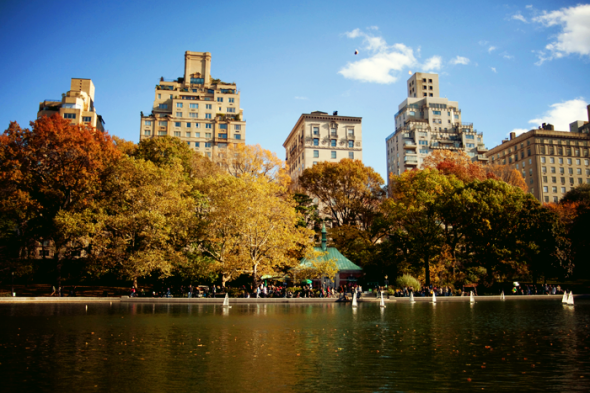 What to do in September and October 2013 in New York?