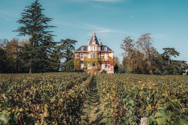 Autumn in the vineyards outside Bordeaux