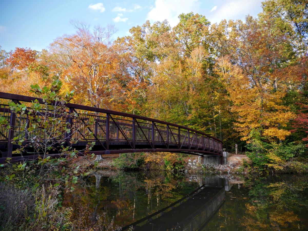 Pocahontas State Park bridge