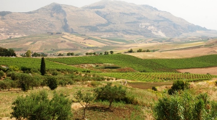 Sicily's interior farm fields patchwork quilt