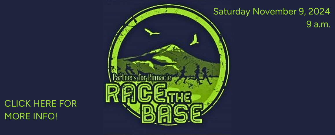 Race the Base