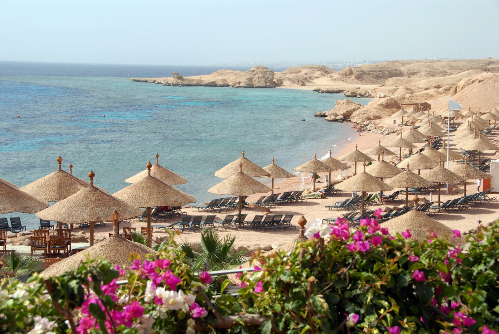 Beach with parasols and blooming bougainvillea near Sharm el-Sheikh, Red Sea, Egypt.