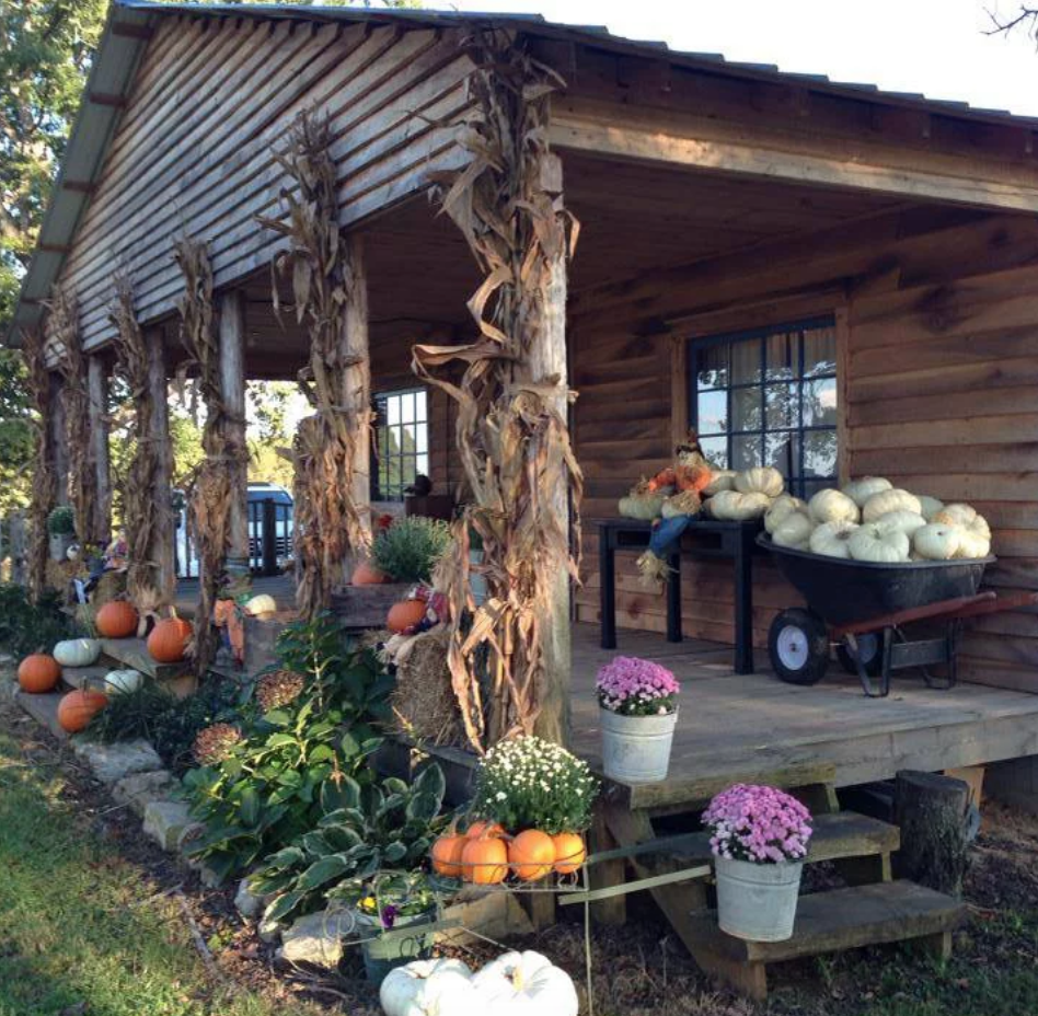 belue place pumpkin patch