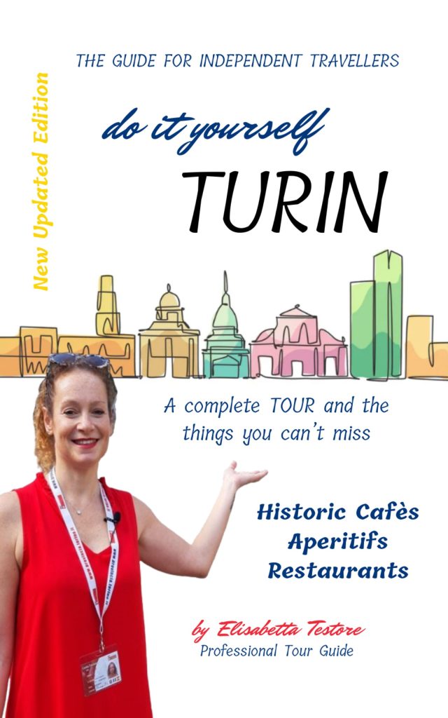 Do It Yourself Turin Travel Guidebook