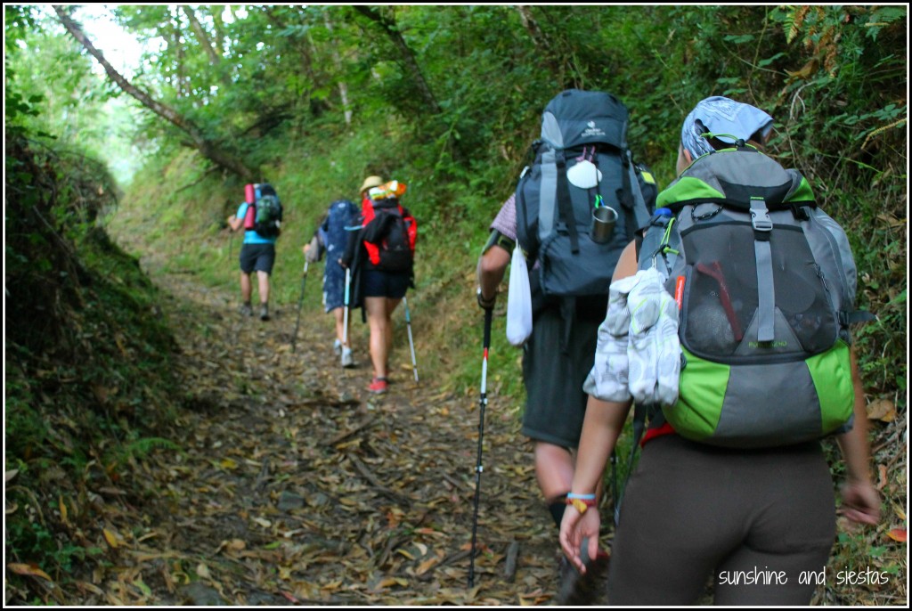 hiking the camino de santiago in northern Spain