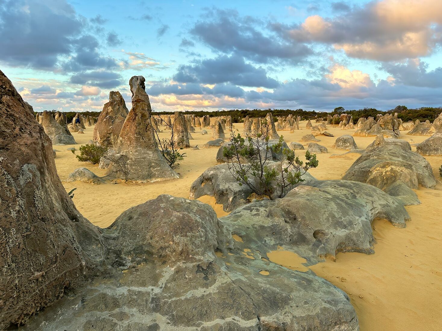 My favorite photo of The Pinnacles at Nambung National Park in Western Australia