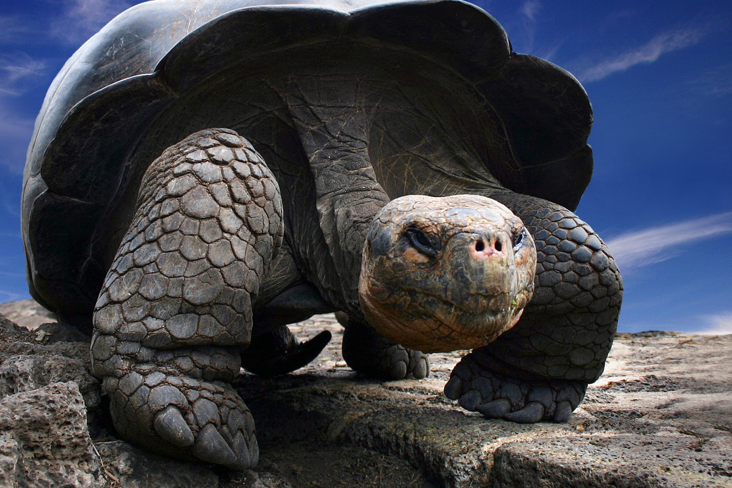 Why a trip to Galapagos